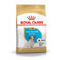 ROYAL CANIN Jack Russell Terrier Puppy Junior Sausas maistas šuniukams iki 10 mėnesių, veislė – Džekas Raselas terjeras, 2 x 1,5 kg