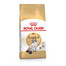ROYAL CANIN Ragdoll adult 12x400 g sausas maistas suaugusiems ragdoll veislės katėms