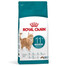 ROYAL CANIN Ageing Sterilised 11+ 4x2 kg subrendusiems katėms po sterilizacijos ar kastracijos