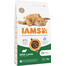 Cat Adult All Breeds Lamb 3 kg