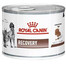 ROYAL CANIN Vet dog/cat recovery 24x195 g šlapias maistas šunims ir katėms intensyvios terapijos metu, po chirurginių operacijų ir reabilitacijos laikotarpiu