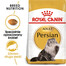 ROYAL CANIN Persian Adult 24x400 g sausas maistas suaugusiems persų veislės katėms