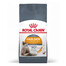 Royal Canin Hair & Skin Care 12x400 g sausas pašaras suaugusioms katėms, žvilgančiam kailiui ir sveikai odai.