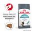 Royal Canin Hairball Care 24x400 g sausas pašaras suaugusioms katėms, plaukų kamuoliukų šalinimui.