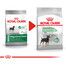 ROYAL CANIN CCN Mini Digestive Care sausie maistas suaugusiems šunims, mažų veislių, turintiems jautrią virškinimo sistemą 2x1 kg