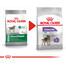 ROYAL CANIN CCN Mini Sterilised Sausas maistas suaugusiems šunims, mažų veislių, kastruotiems 2x1 kg