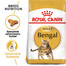 ROYAL CANIN Bengal Adult sausas maistas suaugusiems bengalų veislės katėms, 2 x 2 kg
