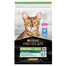 PURINA PRO PLAN Sterilised Renal Plus Turtinga su triušiu 10 kg sausa maistas katėms po sterilizacijos
