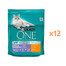 PURINA ONE COAT & HAIRBALL kurczak i pełne ziarna 12x800g