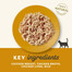 APPLAWS Cat Broth 70g kurczak z wątróbką w bulionie mokra karma dla kota