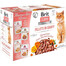 BRIT Care Fillets in Gravy Cat 24 x 85 g lašišos, kalakutienos, antienos ir vištienos filė su padažu katėms