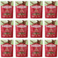 CARNILOVE Dog Soft Snack Quail 12x200g miękkie przysmaki z przepiórką dla dorosłych psów