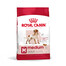 ROYAL CANIN Medium Adult 2 × 15 kg – sausas ėdalas suaugusiems vidutinių veislių šunims