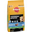 PEDIGREE Professional Nutrition Junior su paukštiena ir daržovėmis 2 × 12 kg – sausas ėdalas vidutinių ir didelių veislių šuniukams