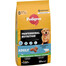 PEDIGREE Professional Nutrition Adult su jautiena ir daržovėmis 2 × 12 kg – sausas ėdalas suaugusiems vidutinių ir didelių veislių šunims