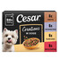 CESAR Creations Mix Skonių (jautiena, vištiena, ėriena, kalakutiena) 48 x 100 g šlapias maistas suaugusiems šunims