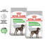ROYAL CANIN CCN Maxi Digestive Care 2x12 kg karma sucha dla psów dorosłych, ras dużych o wrażliwym przewodzie pokarmowym