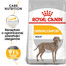 ROYAL CANIN CCN Maxi Dermacomfort 2x12 kg sausas maistas suaugusiems šunims, didelių veislių, turintiems jautrią odą, linkusią į sudirginimus