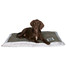 Trixie gultas Best Of All Breeds 80 X 65 cm rudas-smėlinis
