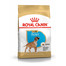 ROYAL CANIN Boxer Puppy Junior 12 kg sausas ėdalas šuniukams iki 15 mėnesių, bokserių veislės