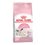ROYAL CANIN Babycat 10 kg
