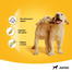 PEDIGREE Junior tubos 72 g
