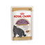 ROYAL CANIN Multipack British Shorthair 12 x 85 g