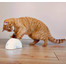 Trixie interaktyvus žaislas katėms su judesio davikliu Feather Hider