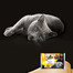 SHEBA Selection in Sauce Smaki Drobiowe sos 4 x 85g
