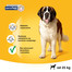 Pedigree Dentaflex didelių veislių šunims