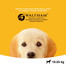 PEDIGREE Junior střední rasy 2.2 kg + 400g GRATIS