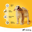 PEDIGREE Junior střední rasy 2.2 kg + 400g GRATIS