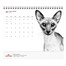 ROYAL CANIN Kalendorius
