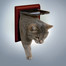 Trixie Clasic 2-Way durų landa katėms rudos 21x21 cm