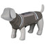 Trixie megztinis šunims Best Of All Breeds XS 27 cm
