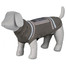 Trixie megztinis Best Of All Breeds, XS 30 cm