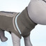 Trixie megztinis Best Of All Breeds, XS 30 cm