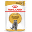 Royal Canin British Shorthair 85 g maišeliai 12 X 85 g