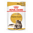Royal Canin Mainecoon konservai 12 X 85 g