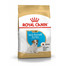 Royal Canin Jack Russell Terrier Junior 1.5 kg
