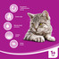 WHISKAS Suaugusiųjų jautiena 1,4kg