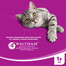 WHISKAS Suaugusiųjų jautiena 1,4kg