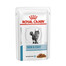 ROYAL CANIN Cat Skin & Coat 12 x 100 g