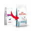 Royal Canin Dog Skin Care Adult Small Dog 4 kg