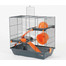 Zolux narvelis Indoor Duplex 50 cm žiurkėnams pilkas-mėlynas