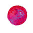 Trixie kamuoliukas iš gumos 5,5 cm