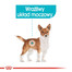 ROYAL CANIN Urinary Care konservai 85 g