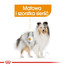ROYAL CANIN Coat Care konservai 85 g