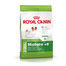 ROYAL CANIN X-Small Adult 8+ 1.5 kg sausas maistas vyresniems nei 8 metų šunims, labai mažos veislės