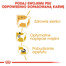ROYAL CANIN Poodle Adult in Sobe 85 g šlapias šunų maistas suaugusiems šunims, pudeliams